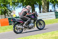 cadwell-no-limits-trackday;cadwell-park;cadwell-park-photographs;cadwell-trackday-photographs;enduro-digital-images;event-digital-images;eventdigitalimages;no-limits-trackdays;peter-wileman-photography;racing-digital-images;trackday-digital-images;trackday-photos