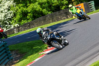 cadwell-no-limits-trackday;cadwell-park;cadwell-park-photographs;cadwell-trackday-photographs;enduro-digital-images;event-digital-images;eventdigitalimages;no-limits-trackdays;peter-wileman-photography;racing-digital-images;trackday-digital-images;trackday-photos