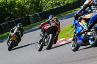 cadwell-no-limits-trackday;cadwell-park;cadwell-park-photographs;cadwell-trackday-photographs;enduro-digital-images;event-digital-images;eventdigitalimages;no-limits-trackdays;peter-wileman-photography;racing-digital-images;trackday-digital-images;trackday-photos