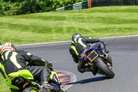 cadwell-no-limits-trackday;cadwell-park;cadwell-park-photographs;cadwell-trackday-photographs;enduro-digital-images;event-digital-images;eventdigitalimages;no-limits-trackdays;peter-wileman-photography;racing-digital-images;trackday-digital-images;trackday-photos