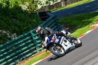 cadwell-no-limits-trackday;cadwell-park;cadwell-park-photographs;cadwell-trackday-photographs;enduro-digital-images;event-digital-images;eventdigitalimages;no-limits-trackdays;peter-wileman-photography;racing-digital-images;trackday-digital-images;trackday-photos