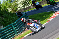 cadwell-no-limits-trackday;cadwell-park;cadwell-park-photographs;cadwell-trackday-photographs;enduro-digital-images;event-digital-images;eventdigitalimages;no-limits-trackdays;peter-wileman-photography;racing-digital-images;trackday-digital-images;trackday-photos