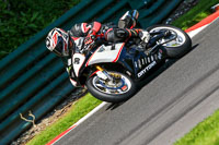 cadwell-no-limits-trackday;cadwell-park;cadwell-park-photographs;cadwell-trackday-photographs;enduro-digital-images;event-digital-images;eventdigitalimages;no-limits-trackdays;peter-wileman-photography;racing-digital-images;trackday-digital-images;trackday-photos