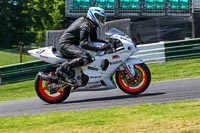 cadwell-no-limits-trackday;cadwell-park;cadwell-park-photographs;cadwell-trackday-photographs;enduro-digital-images;event-digital-images;eventdigitalimages;no-limits-trackdays;peter-wileman-photography;racing-digital-images;trackday-digital-images;trackday-photos