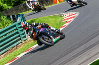 cadwell-no-limits-trackday;cadwell-park;cadwell-park-photographs;cadwell-trackday-photographs;enduro-digital-images;event-digital-images;eventdigitalimages;no-limits-trackdays;peter-wileman-photography;racing-digital-images;trackday-digital-images;trackday-photos