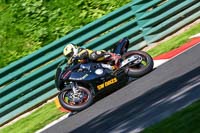 cadwell-no-limits-trackday;cadwell-park;cadwell-park-photographs;cadwell-trackday-photographs;enduro-digital-images;event-digital-images;eventdigitalimages;no-limits-trackdays;peter-wileman-photography;racing-digital-images;trackday-digital-images;trackday-photos