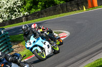 cadwell-no-limits-trackday;cadwell-park;cadwell-park-photographs;cadwell-trackday-photographs;enduro-digital-images;event-digital-images;eventdigitalimages;no-limits-trackdays;peter-wileman-photography;racing-digital-images;trackday-digital-images;trackday-photos