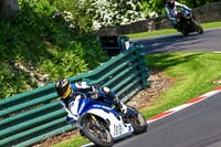 cadwell-no-limits-trackday;cadwell-park;cadwell-park-photographs;cadwell-trackday-photographs;enduro-digital-images;event-digital-images;eventdigitalimages;no-limits-trackdays;peter-wileman-photography;racing-digital-images;trackday-digital-images;trackday-photos