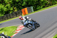 cadwell-no-limits-trackday;cadwell-park;cadwell-park-photographs;cadwell-trackday-photographs;enduro-digital-images;event-digital-images;eventdigitalimages;no-limits-trackdays;peter-wileman-photography;racing-digital-images;trackday-digital-images;trackday-photos