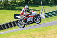 cadwell-no-limits-trackday;cadwell-park;cadwell-park-photographs;cadwell-trackday-photographs;enduro-digital-images;event-digital-images;eventdigitalimages;no-limits-trackdays;peter-wileman-photography;racing-digital-images;trackday-digital-images;trackday-photos