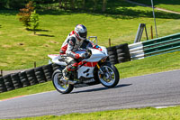 cadwell-no-limits-trackday;cadwell-park;cadwell-park-photographs;cadwell-trackday-photographs;enduro-digital-images;event-digital-images;eventdigitalimages;no-limits-trackdays;peter-wileman-photography;racing-digital-images;trackday-digital-images;trackday-photos