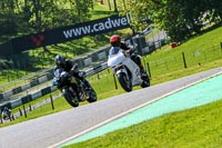 cadwell-no-limits-trackday;cadwell-park;cadwell-park-photographs;cadwell-trackday-photographs;enduro-digital-images;event-digital-images;eventdigitalimages;no-limits-trackdays;peter-wileman-photography;racing-digital-images;trackday-digital-images;trackday-photos