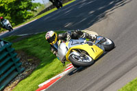 cadwell-no-limits-trackday;cadwell-park;cadwell-park-photographs;cadwell-trackday-photographs;enduro-digital-images;event-digital-images;eventdigitalimages;no-limits-trackdays;peter-wileman-photography;racing-digital-images;trackday-digital-images;trackday-photos