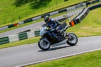 cadwell-no-limits-trackday;cadwell-park;cadwell-park-photographs;cadwell-trackday-photographs;enduro-digital-images;event-digital-images;eventdigitalimages;no-limits-trackdays;peter-wileman-photography;racing-digital-images;trackday-digital-images;trackday-photos