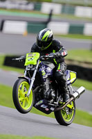 cadwell-no-limits-trackday;cadwell-park;cadwell-park-photographs;cadwell-trackday-photographs;enduro-digital-images;event-digital-images;eventdigitalimages;no-limits-trackdays;peter-wileman-photography;racing-digital-images;trackday-digital-images;trackday-photos