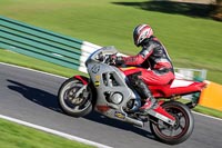 cadwell-no-limits-trackday;cadwell-park;cadwell-park-photographs;cadwell-trackday-photographs;enduro-digital-images;event-digital-images;eventdigitalimages;no-limits-trackdays;peter-wileman-photography;racing-digital-images;trackday-digital-images;trackday-photos