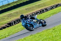 PJ-Motorsport;anglesey-no-limits-trackday;anglesey-photographs;anglesey-trackday-photographs;enduro-digital-images;event-digital-images;eventdigitalimages;no-limits-trackdays;peter-wileman-photography;racing-digital-images;trac-mon;trackday-digital-images;trackday-photos;ty-croes