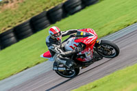 PJ-Motorsport-Photography-2018;anglesey-no-limits-trackday;anglesey-photographs;anglesey-trackday-photographs;enduro-digital-images;event-digital-images;eventdigitalimages;no-limits-trackdays;peter-wileman-photography;racing-digital-images;trac-mon;trackday-digital-images;trackday-photos;ty-croes