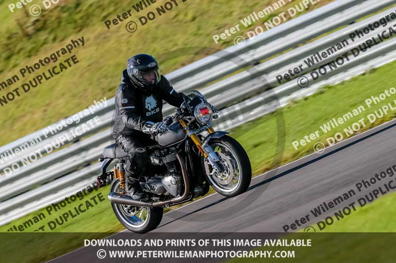 PJ Motorsport Photography 2018;anglesey no limits trackday;anglesey photographs;anglesey trackday photographs;enduro digital images;event digital images;eventdigitalimages;no limits trackdays;peter wileman photography;racing digital images;trac mon;trackday digital images;trackday photos;ty croes