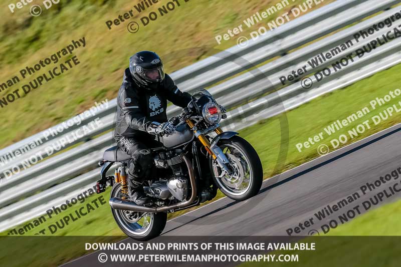 PJ Motorsport Photography 2018;anglesey no limits trackday;anglesey photographs;anglesey trackday photographs;enduro digital images;event digital images;eventdigitalimages;no limits trackdays;peter wileman photography;racing digital images;trac mon;trackday digital images;trackday photos;ty croes