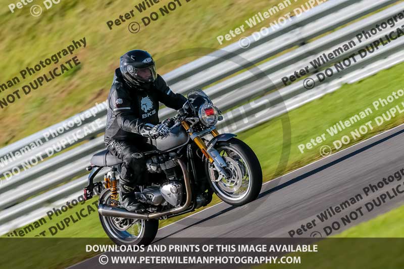 PJ Motorsport Photography 2018;anglesey no limits trackday;anglesey photographs;anglesey trackday photographs;enduro digital images;event digital images;eventdigitalimages;no limits trackdays;peter wileman photography;racing digital images;trac mon;trackday digital images;trackday photos;ty croes