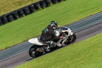 PJ-Motorsport-Photography-2018;anglesey-no-limits-trackday;anglesey-photographs;anglesey-trackday-photographs;enduro-digital-images;event-digital-images;eventdigitalimages;no-limits-trackdays;peter-wileman-photography;racing-digital-images;trac-mon;trackday-digital-images;trackday-photos;ty-croes