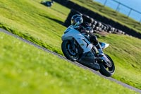 PJ-Motorsport;anglesey-no-limits-trackday;anglesey-photographs;anglesey-trackday-photographs;enduro-digital-images;event-digital-images;eventdigitalimages;no-limits-trackdays;peter-wileman-photography;racing-digital-images;trac-mon;trackday-digital-images;trackday-photos;ty-croes