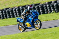 PJ-Motorsport;anglesey-no-limits-trackday;anglesey-photographs;anglesey-trackday-photographs;enduro-digital-images;event-digital-images;eventdigitalimages;no-limits-trackdays;peter-wileman-photography;racing-digital-images;trac-mon;trackday-digital-images;trackday-photos;ty-croes