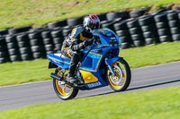 PJ-Motorsport;anglesey-no-limits-trackday;anglesey-photographs;anglesey-trackday-photographs;enduro-digital-images;event-digital-images;eventdigitalimages;no-limits-trackdays;peter-wileman-photography;racing-digital-images;trac-mon;trackday-digital-images;trackday-photos;ty-croes