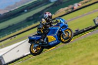 PJ-Motorsport-Photography-2018;anglesey-no-limits-trackday;anglesey-photographs;anglesey-trackday-photographs;enduro-digital-images;event-digital-images;eventdigitalimages;no-limits-trackdays;peter-wileman-photography;racing-digital-images;trac-mon;trackday-digital-images;trackday-photos;ty-croes