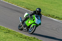 PJ-Motorsport-Photography-2018;anglesey-no-limits-trackday;anglesey-photographs;anglesey-trackday-photographs;enduro-digital-images;event-digital-images;eventdigitalimages;no-limits-trackdays;peter-wileman-photography;racing-digital-images;trac-mon;trackday-digital-images;trackday-photos;ty-croes