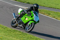 PJ-Motorsport-Photography-2018;anglesey-no-limits-trackday;anglesey-photographs;anglesey-trackday-photographs;enduro-digital-images;event-digital-images;eventdigitalimages;no-limits-trackdays;peter-wileman-photography;racing-digital-images;trac-mon;trackday-digital-images;trackday-photos;ty-croes