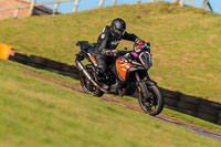 PJ-Motorsport-Photography-2018;anglesey-no-limits-trackday;anglesey-photographs;anglesey-trackday-photographs;enduro-digital-images;event-digital-images;eventdigitalimages;no-limits-trackdays;peter-wileman-photography;racing-digital-images;trac-mon;trackday-digital-images;trackday-photos;ty-croes