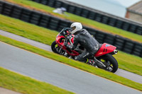 PJ-Motorsport;anglesey-no-limits-trackday;anglesey-photographs;anglesey-trackday-photographs;enduro-digital-images;event-digital-images;eventdigitalimages;no-limits-trackdays;peter-wileman-photography;racing-digital-images;trac-mon;trackday-digital-images;trackday-photos;ty-croes