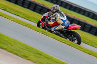 PJ-Motorsport;anglesey-no-limits-trackday;anglesey-photographs;anglesey-trackday-photographs;enduro-digital-images;event-digital-images;eventdigitalimages;no-limits-trackdays;peter-wileman-photography;racing-digital-images;trac-mon;trackday-digital-images;trackday-photos;ty-croes