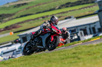 PJ-Motorsport-Photography-2018;anglesey-no-limits-trackday;anglesey-photographs;anglesey-trackday-photographs;enduro-digital-images;event-digital-images;eventdigitalimages;no-limits-trackdays;peter-wileman-photography;racing-digital-images;trac-mon;trackday-digital-images;trackday-photos;ty-croes