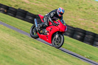 PJ-Motorsport-Photography-2018;anglesey-no-limits-trackday;anglesey-photographs;anglesey-trackday-photographs;enduro-digital-images;event-digital-images;eventdigitalimages;no-limits-trackdays;peter-wileman-photography;racing-digital-images;trac-mon;trackday-digital-images;trackday-photos;ty-croes