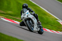 PJ-Motorsport-Photography;anglesey;brands-hatch;cadwell-park;croft;donington-park;enduro-digital-images;event-digital-images;eventdigitalimages;mallory;no-limits;oulton-park;peter-wileman-photography;racing-digital-images;silverstone;snetterton;trackday-digital-images;trackday-photos;vmcc-banbury-run;welsh-2-day-enduro