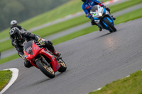 PJ-Motorsport-Photography-2018;anglesey;brands-hatch;cadwell-park;croft;donington-park;enduro-digital-images;event-digital-images;eventdigitalimages;mallory;no-limits;oulton-park;peter-wileman-photography;racing-digital-images;silverstone;snetterton;trackday-digital-images;trackday-photos;vmcc-banbury-run;welsh-2-day-enduro