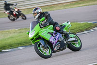 Evening Low/Mid Group Green Bikes