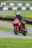 Middle Group Red Bikes