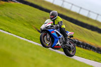 PJ-Motorsport-Photography-2018;anglesey-no-limits-trackday;anglesey-photographs;anglesey-trackday-photographs;enduro-digital-images;event-digital-images;eventdigitalimages;no-limits-trackdays;peter-wileman-photography;racing-digital-images;trac-mon;trackday-digital-images;trackday-photos;ty-croes