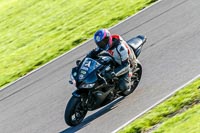 PJ-Motorsport-Photography-2018;anglesey-no-limits-trackday;anglesey-photographs;anglesey-trackday-photographs;enduro-digital-images;event-digital-images;eventdigitalimages;no-limits-trackdays;peter-wileman-photography;racing-digital-images;trac-mon;trackday-digital-images;trackday-photos;ty-croes