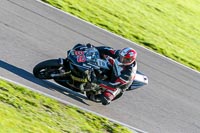 PJ-Motorsport-Photography-2018;anglesey-no-limits-trackday;anglesey-photographs;anglesey-trackday-photographs;enduro-digital-images;event-digital-images;eventdigitalimages;no-limits-trackdays;peter-wileman-photography;racing-digital-images;trac-mon;trackday-digital-images;trackday-photos;ty-croes