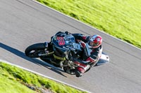 PJ-Motorsport-Photography-2018;anglesey-no-limits-trackday;anglesey-photographs;anglesey-trackday-photographs;enduro-digital-images;event-digital-images;eventdigitalimages;no-limits-trackdays;peter-wileman-photography;racing-digital-images;trac-mon;trackday-digital-images;trackday-photos;ty-croes