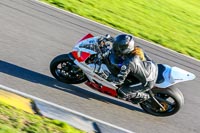 PJ-Motorsport-Photography-2018;anglesey-no-limits-trackday;anglesey-photographs;anglesey-trackday-photographs;enduro-digital-images;event-digital-images;eventdigitalimages;no-limits-trackdays;peter-wileman-photography;racing-digital-images;trac-mon;trackday-digital-images;trackday-photos;ty-croes