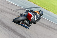 PJ-Motorsport-Photography-2018;anglesey-no-limits-trackday;anglesey-photographs;anglesey-trackday-photographs;enduro-digital-images;event-digital-images;eventdigitalimages;no-limits-trackdays;peter-wileman-photography;racing-digital-images;trac-mon;trackday-digital-images;trackday-photos;ty-croes