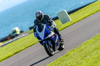 PJ-Motorsport;anglesey-no-limits-trackday;anglesey-photographs;anglesey-trackday-photographs;enduro-digital-images;event-digital-images;eventdigitalimages;no-limits-trackdays;peter-wileman-photography;racing-digital-images;trac-mon;trackday-digital-images;trackday-photos;ty-croes