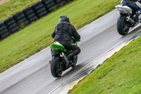 PJ-Motorsport;anglesey-no-limits-trackday;anglesey-photographs;anglesey-trackday-photographs;enduro-digital-images;event-digital-images;eventdigitalimages;no-limits-trackdays;peter-wileman-photography;racing-digital-images;trac-mon;trackday-digital-images;trackday-photos;ty-croes