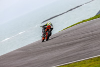 PJ-Motorsport;anglesey-no-limits-trackday;anglesey-photographs;anglesey-trackday-photographs;enduro-digital-images;event-digital-images;eventdigitalimages;no-limits-trackdays;peter-wileman-photography;racing-digital-images;trac-mon;trackday-digital-images;trackday-photos;ty-croes